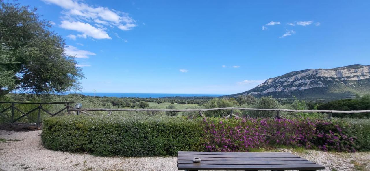 Agriturismo Su Barcu Cala Gonone Exterior photo