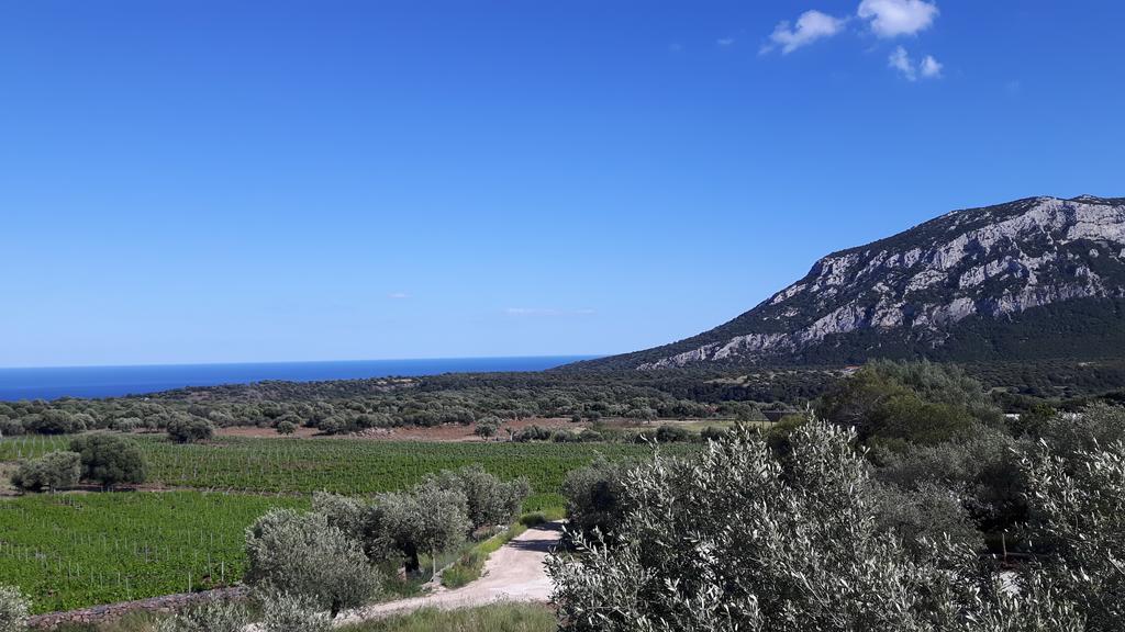Agriturismo Su Barcu Cala Gonone Exterior photo